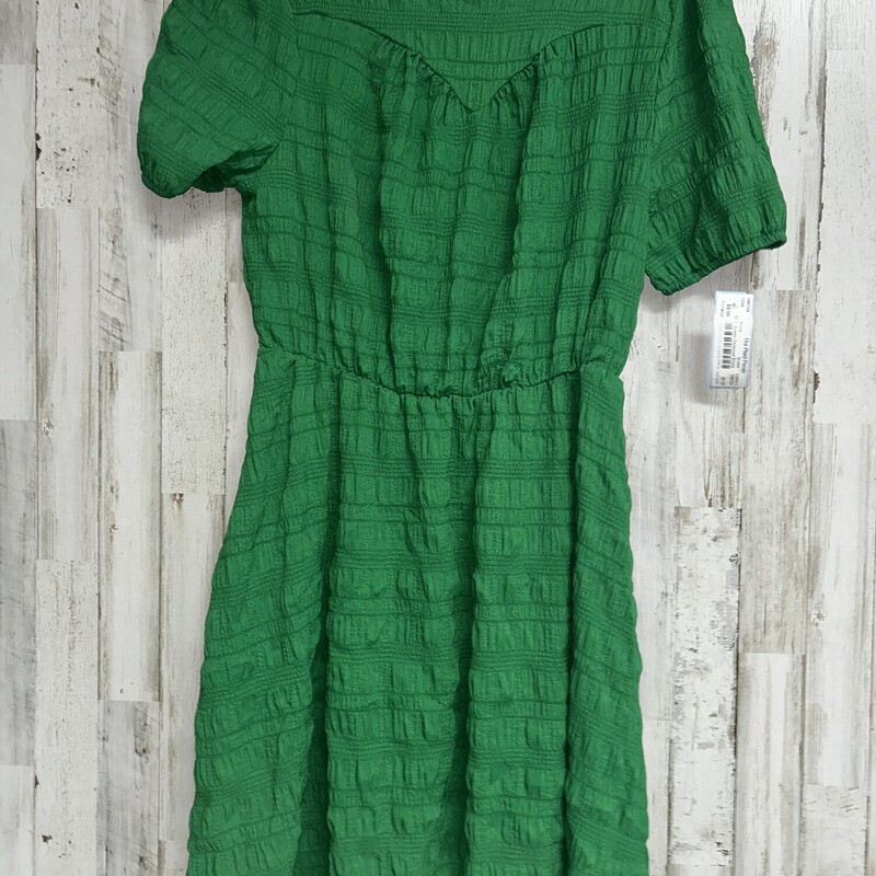 L Green Textured Dress