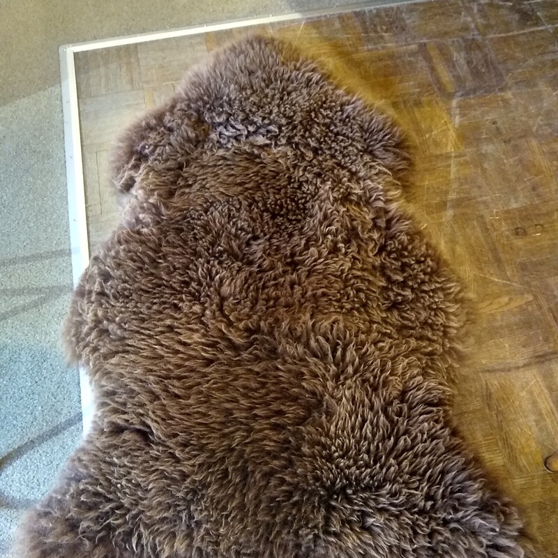 Brown Sheep Rug