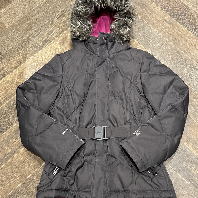 Northface Parka