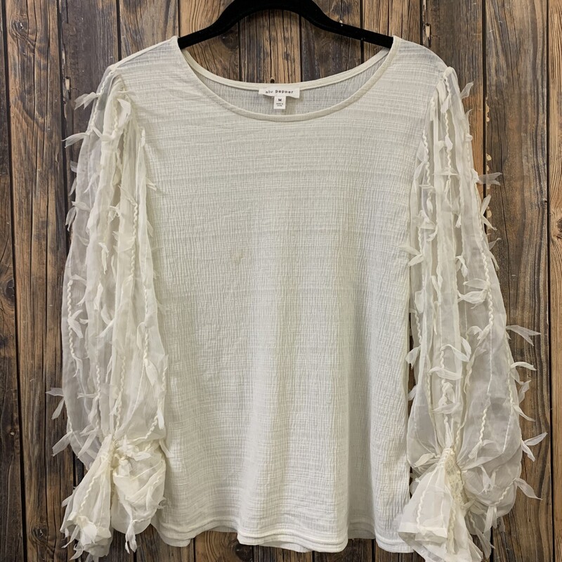 Cream Frilled Sleeves Shi