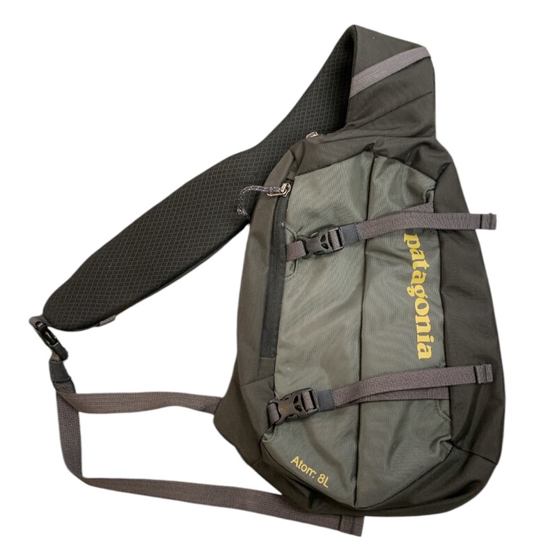 Patagonia Bodybag