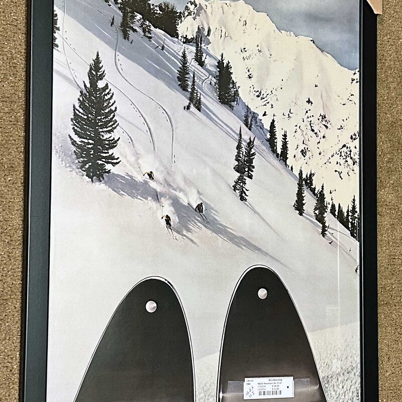 HEAD Mountain Ski Print