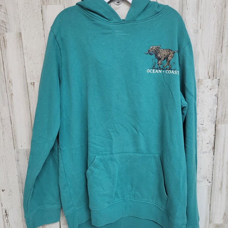 10/12 Teal Dog Hoodie