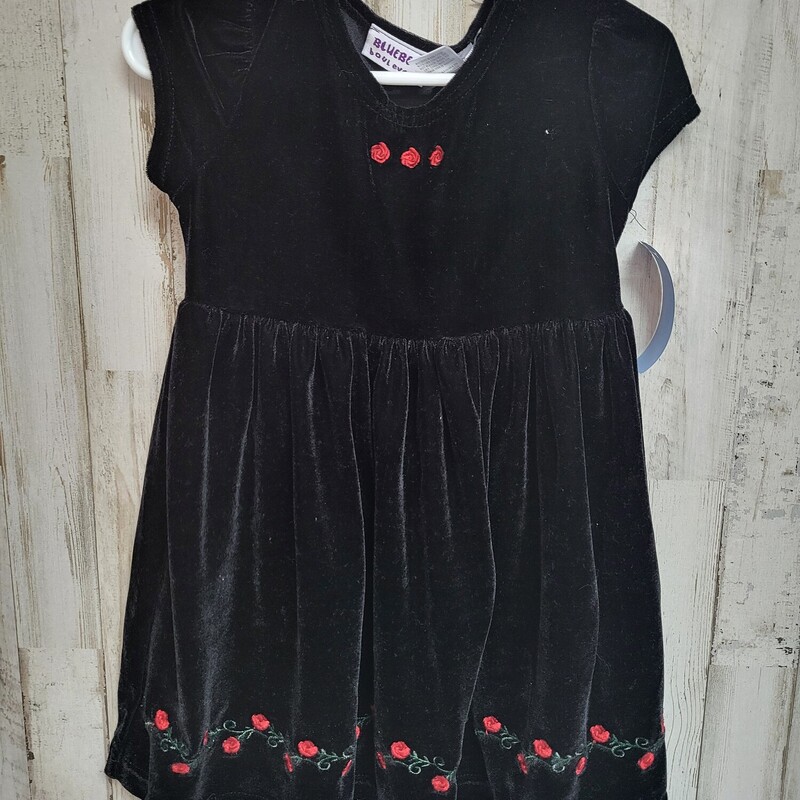 3T Black Velvet Floral Dr, Black, Size: Girl 3T