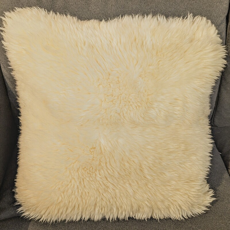 Faux Fur Down Pillow
White, Size: 18x18H