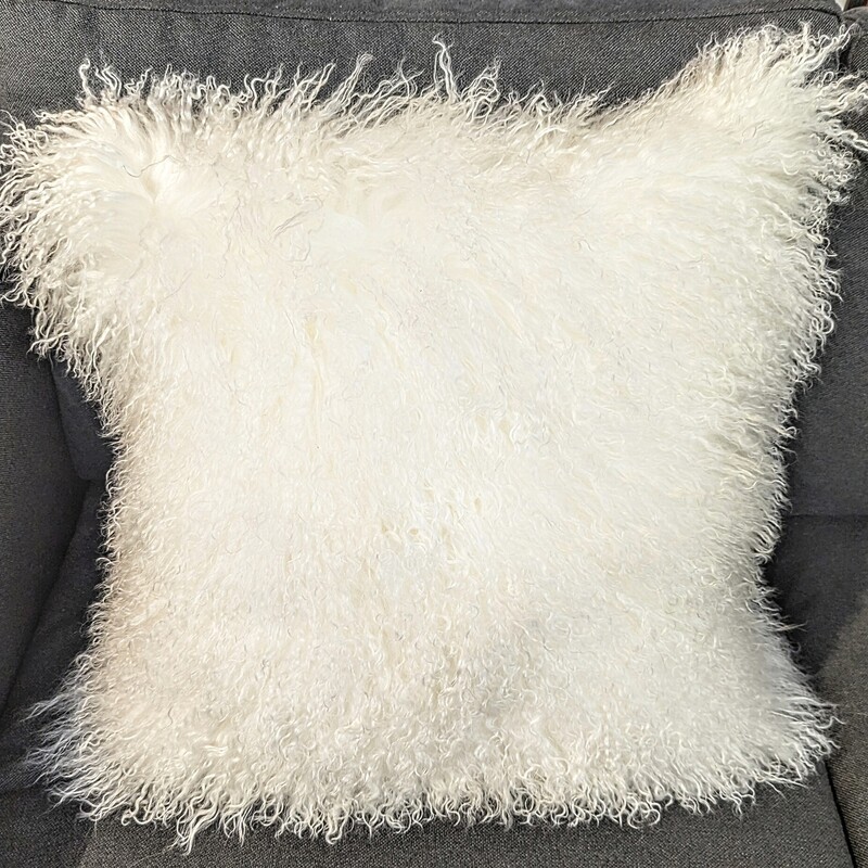 Mongolian Lamb Fur Pillow
White, Size: 20x20H