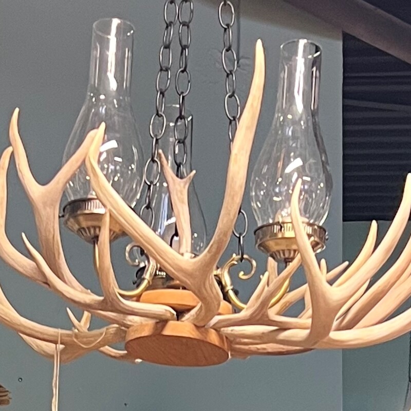 Real Antler Chandelier, Glass, 3 Lights