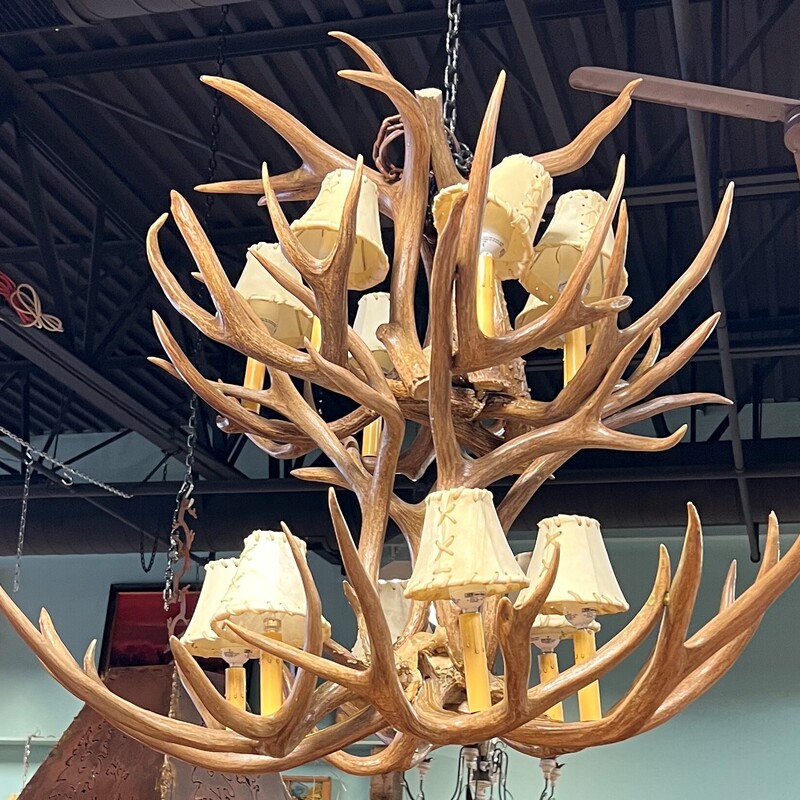 Real Antler Chandelier, Shades, 12 Lights