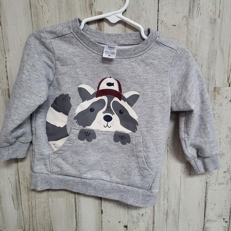 18m Grey Racoon Sweatshir, Grey, Size: Boy 12-24m