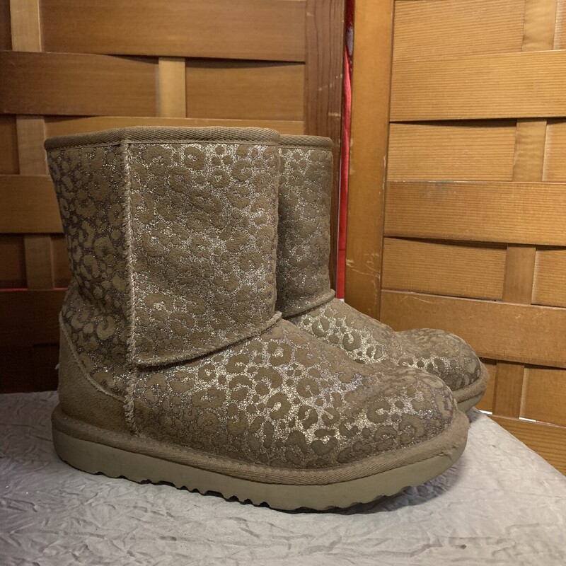 Animal Print UGGs