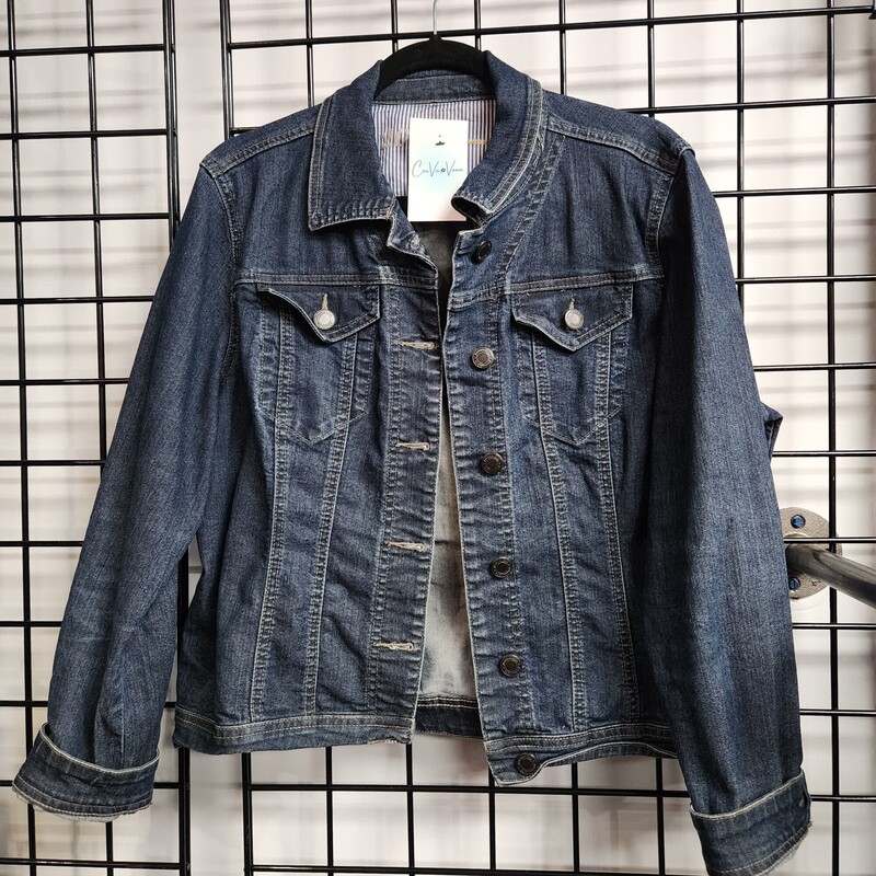 Parasuko Jean Jacket, Denim, Size: XL