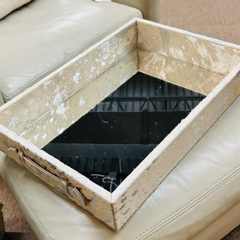 Animal Hide Mirrored Tray
White Silver
Size: 13x9x3.5H