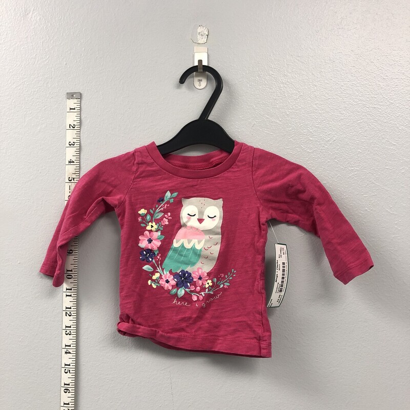 Carters, Size: 9m, Item: Shirt