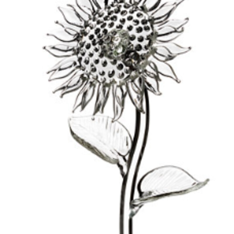 Waterford Sunflower
 Clear, Size: 4x15H