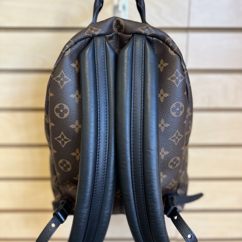 LV Palm Springs Backpack, Brown, Size: N