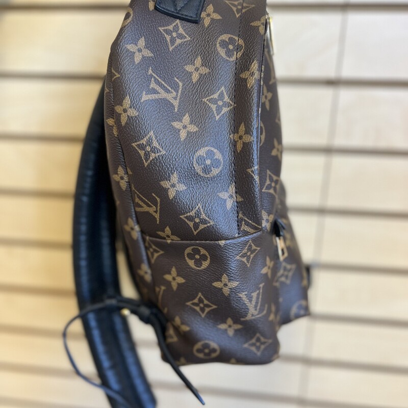 LV Palm Springs Backpack, Brown, Size: N