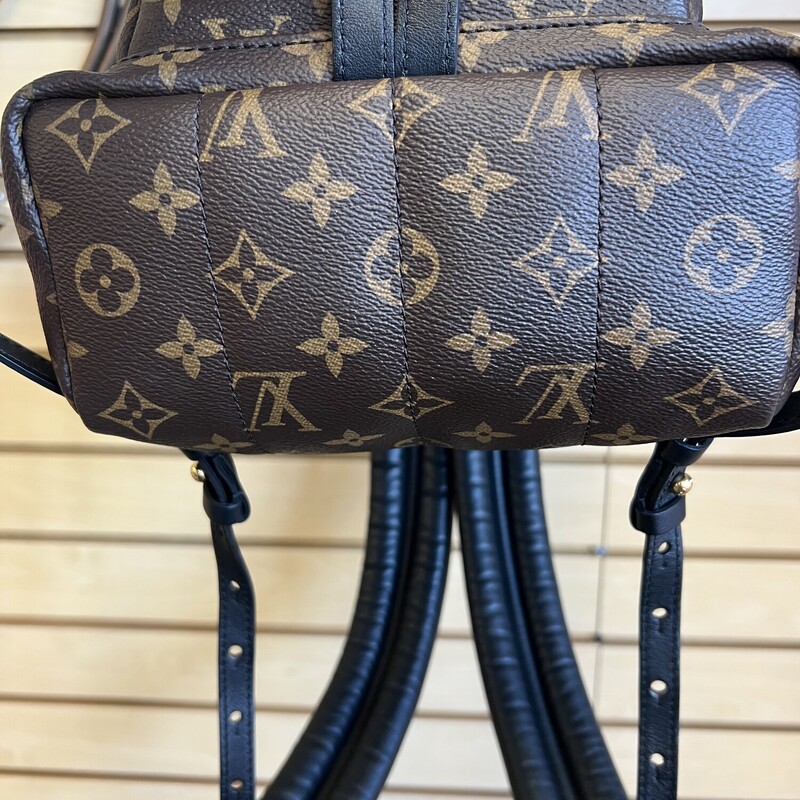 LV Palm Springs Backpack, Brown, Size: N