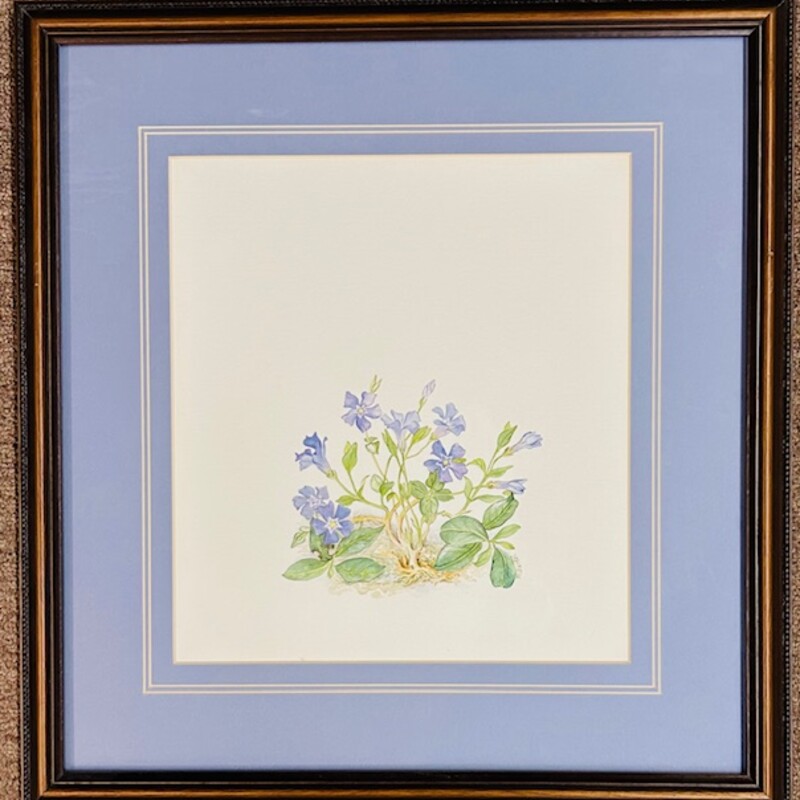 M.Bartel Violets Print
Green Purple Blue Brown
Size: 16.5x16.5H