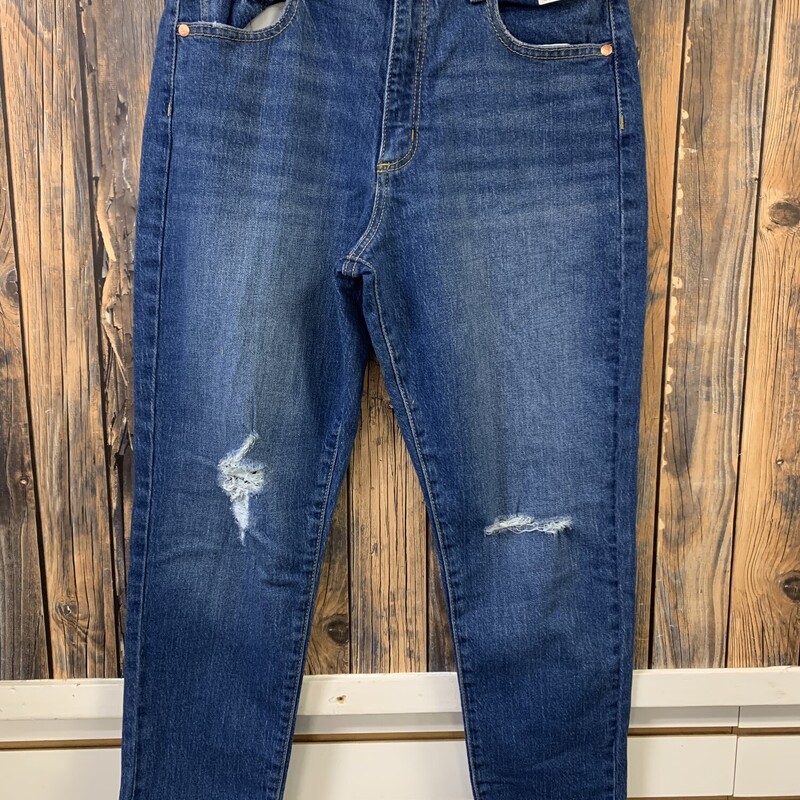 NWT 16 Jeans, Size: 16