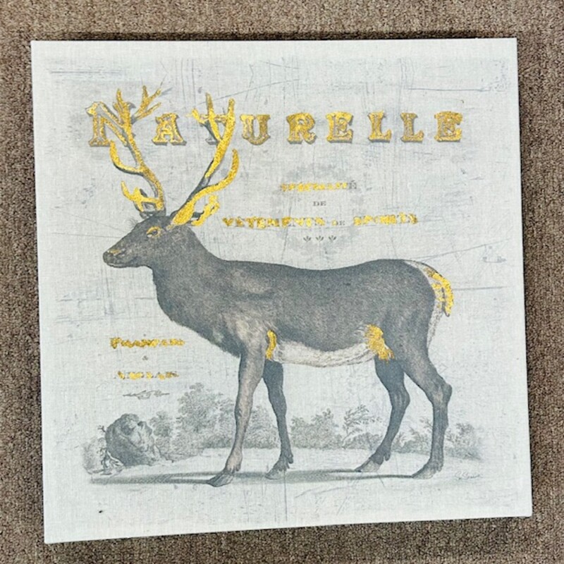 Naturelle Moose Canvas on Linen
Tan Silver Gold Size: 15 x 15H