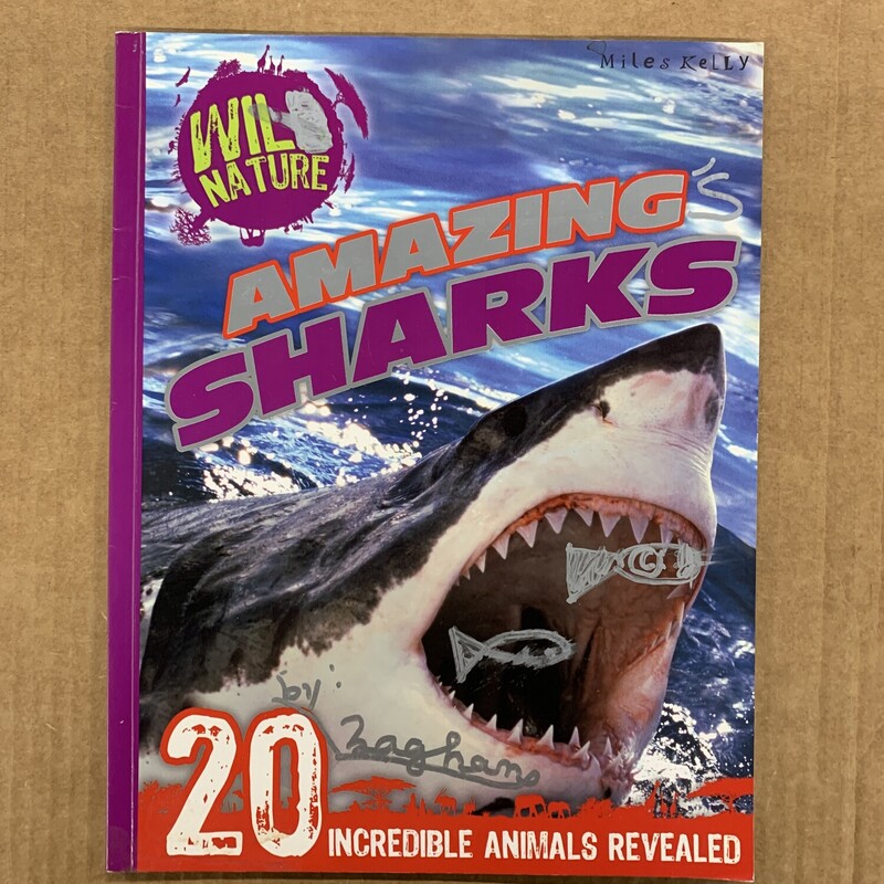 Amazing Sharks, Size: Back, Item: Paper