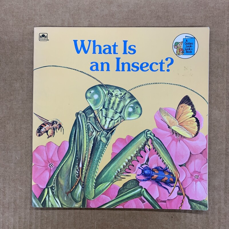 What Is An Insect, Size: Back, Item: Paper