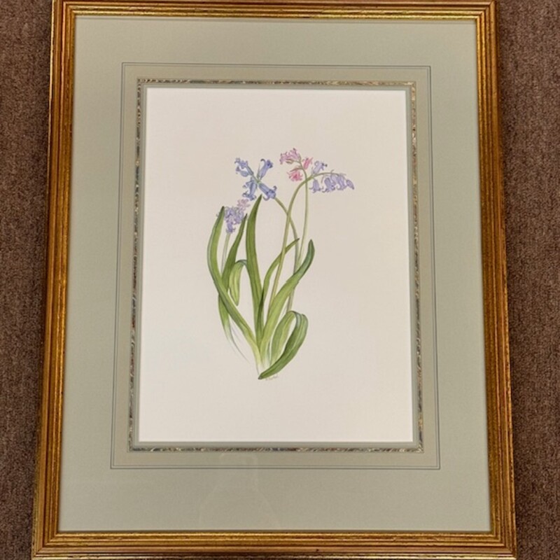 M, Bartel Framed Matted Floral Print
Gold Purple Green
Size: 17.5 x 21.5H