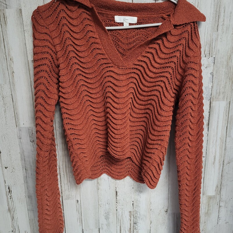 L Rust Knit Collar Top