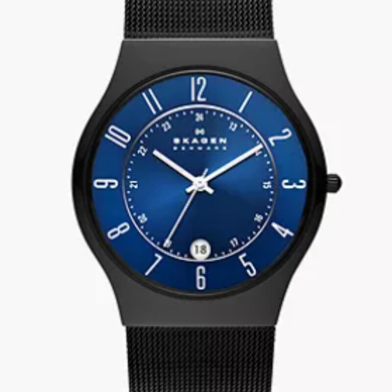 Skagen Sundby Titanium