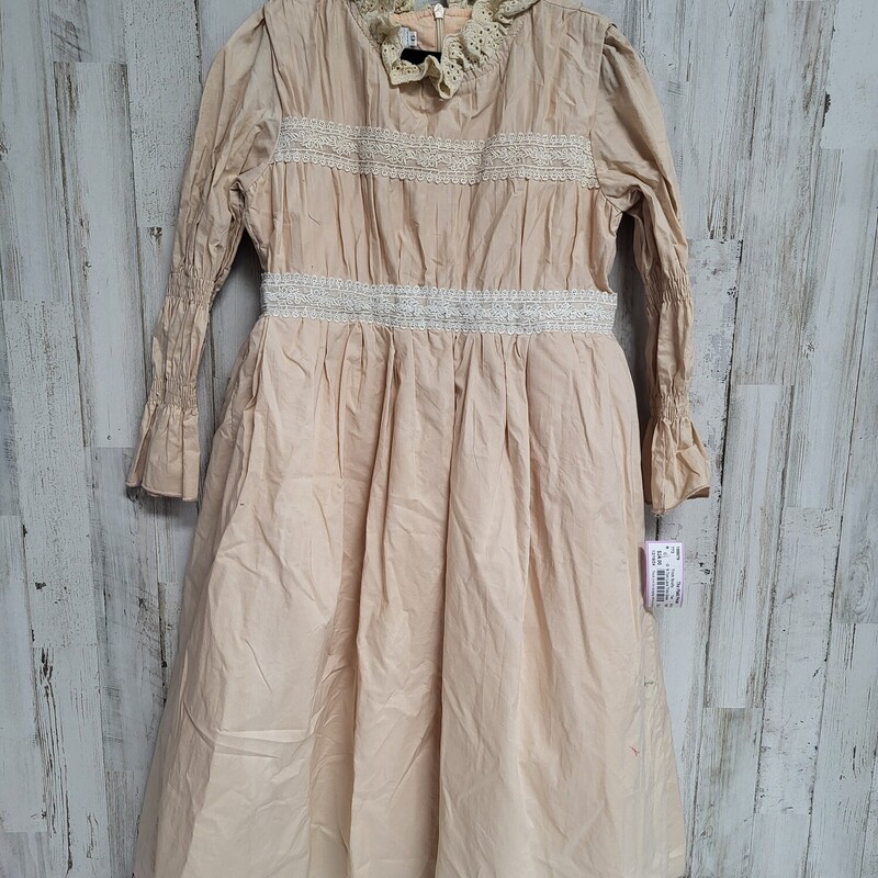 6 Tan Lace Trim Dress