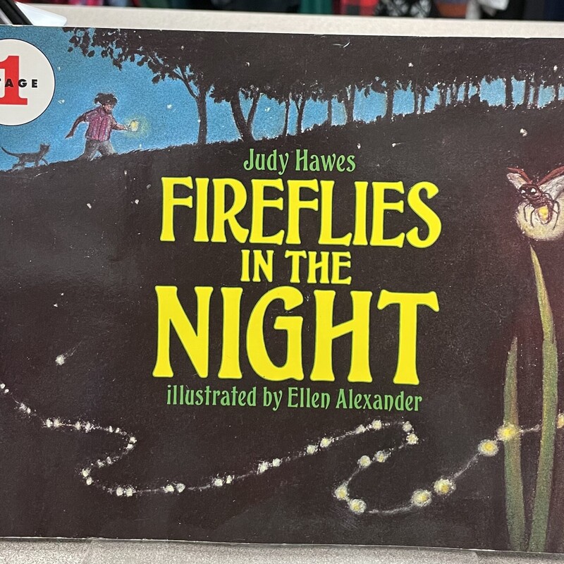 Fireflies In The Night