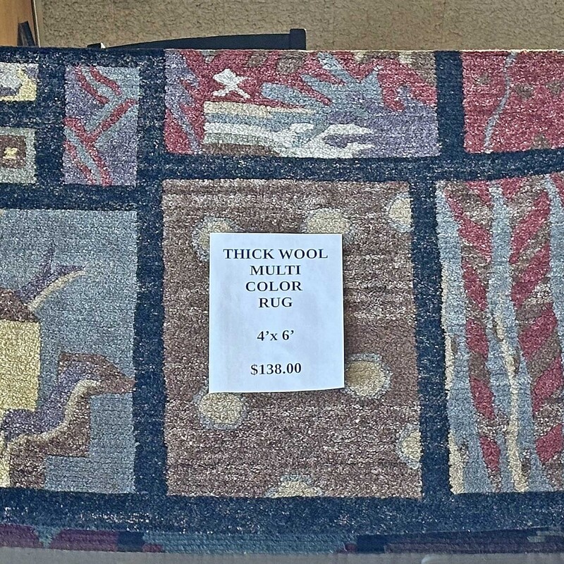 Thick Wool Rug - Multi 4x