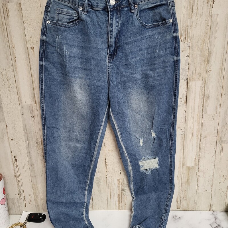 Sz8 Fray Denim Jeggings, Blue, Size: Ladies M