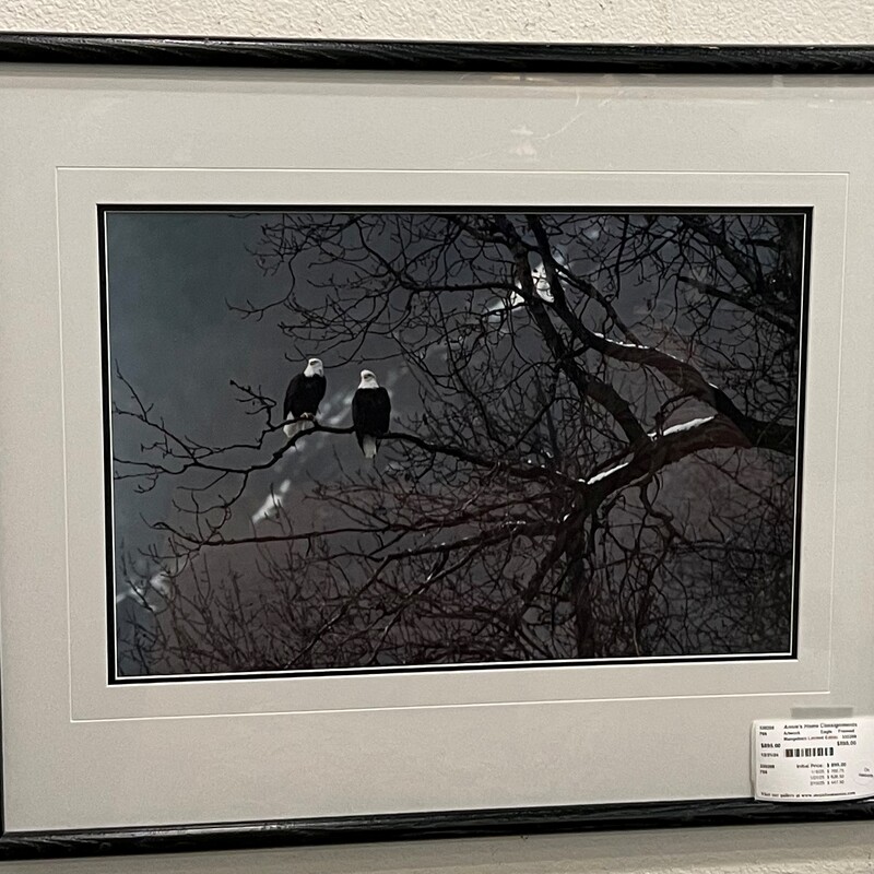 Mangelsen Limited Edition, Eagle, Framed
27in x 23in