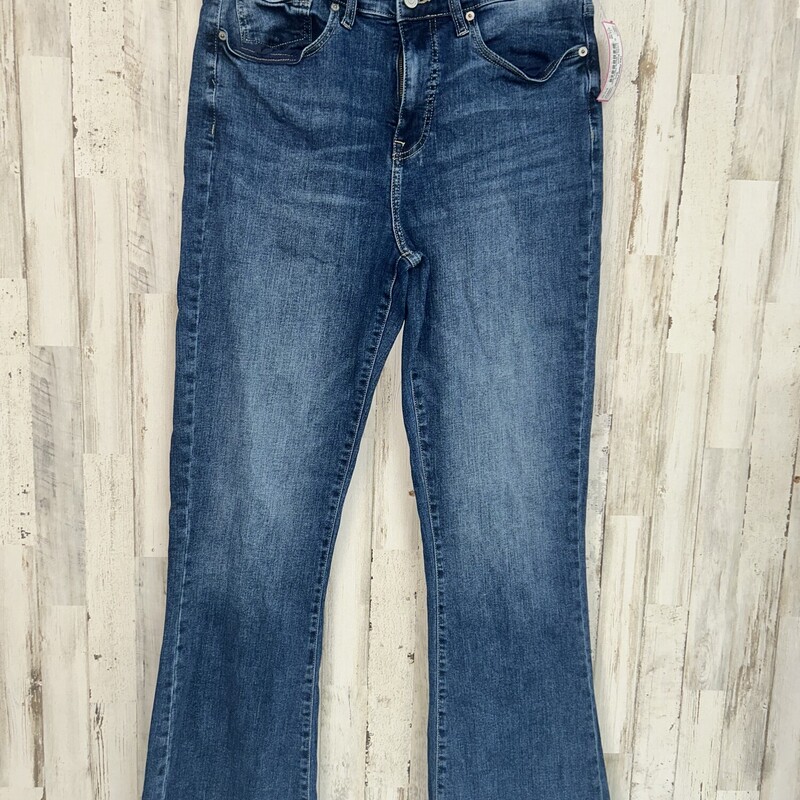 Sz12/31 Stevie Flare Jean, Blue, Size: Ladies L