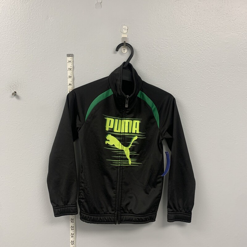 Puma