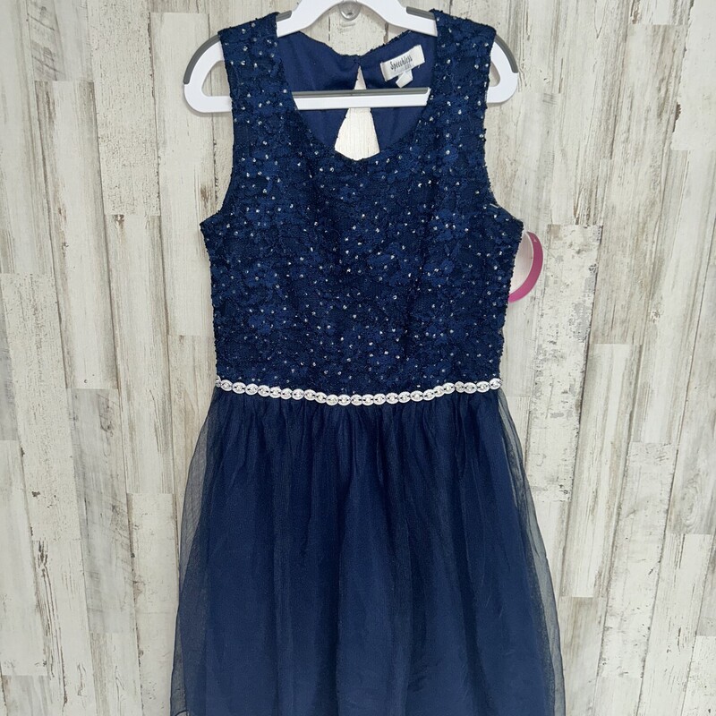 14 Navy Lace Belted Dress