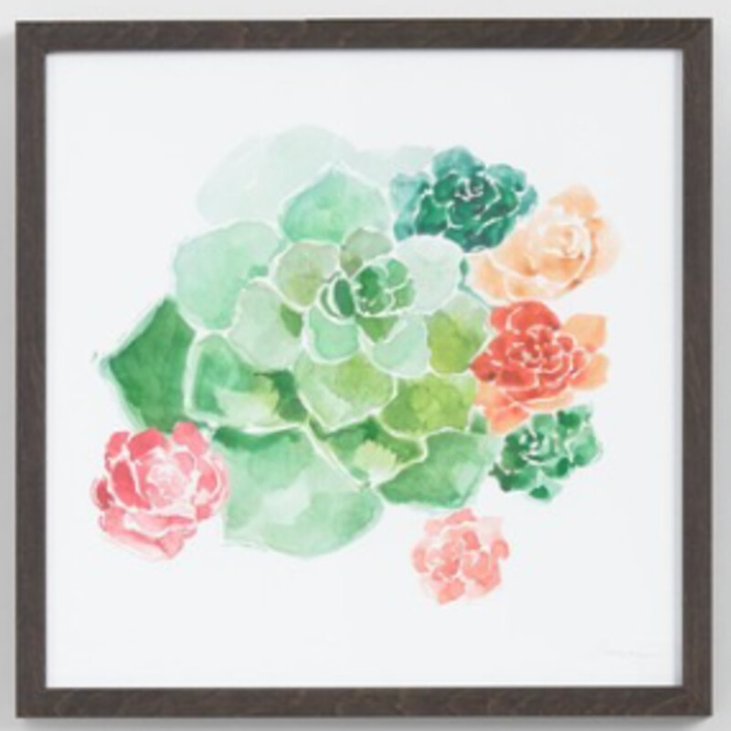 Dusza Succulents Print