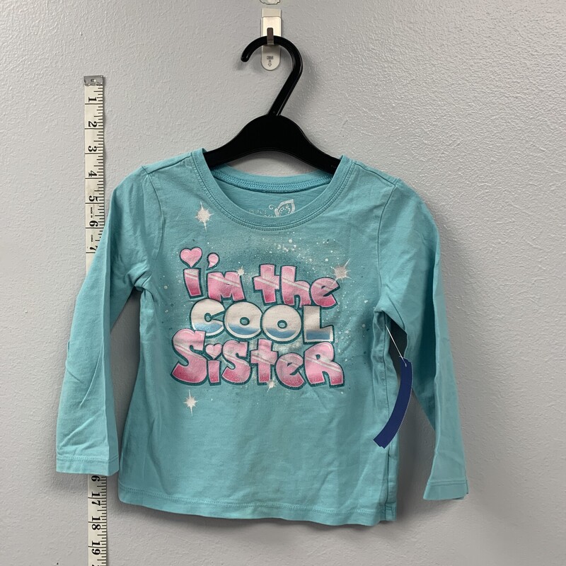 Childrens Place, Size: 4, Item: Shirt