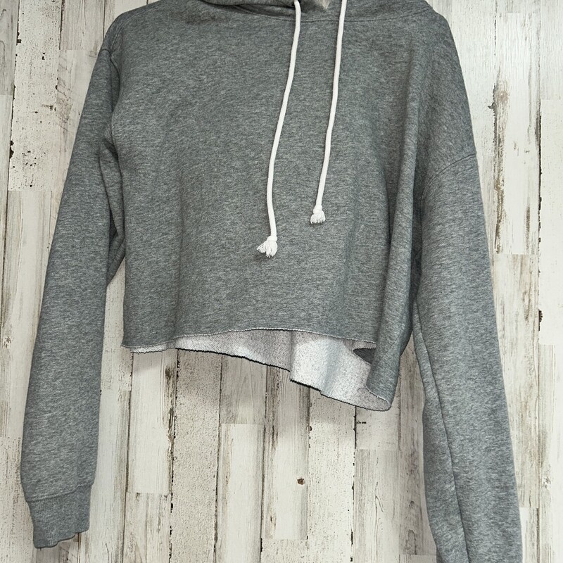 M Grey Crop Hoodie