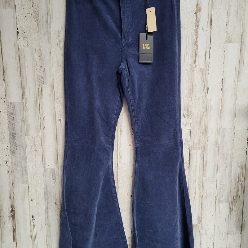 NEW Sz10 Blue Flares