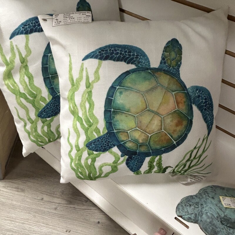 Turtle Pillow