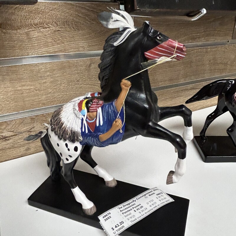 Painted Ponies