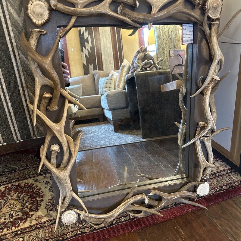 Faux Antler Mirror

Size: 27Lx22W