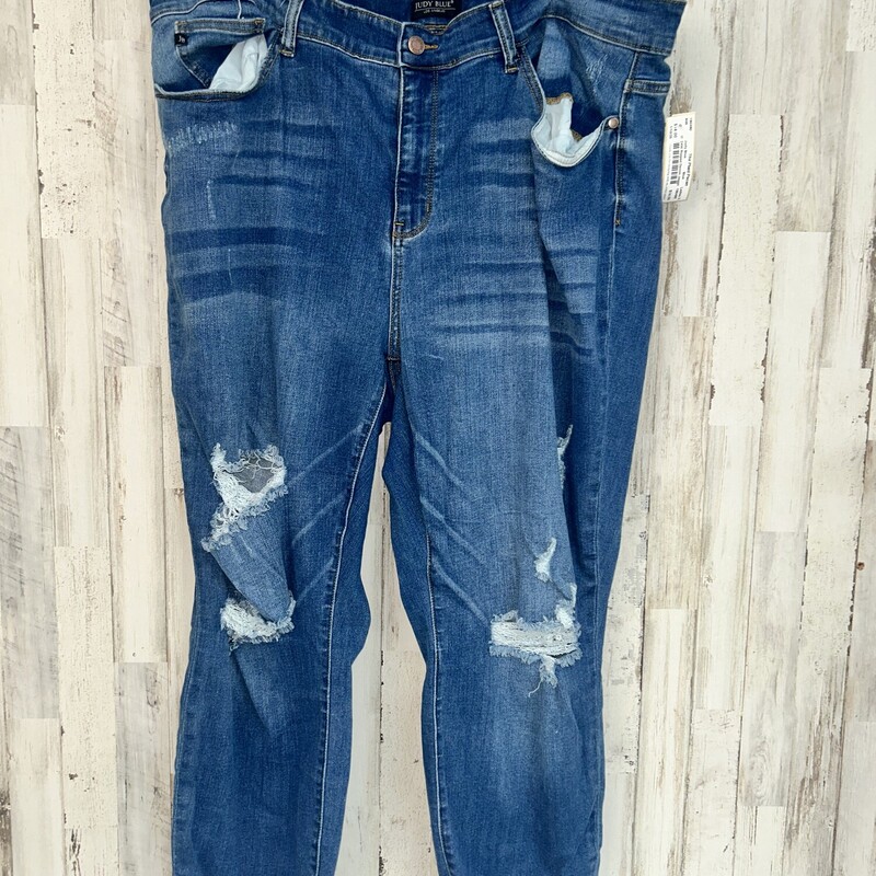 24W Ripped Denim Jeggings