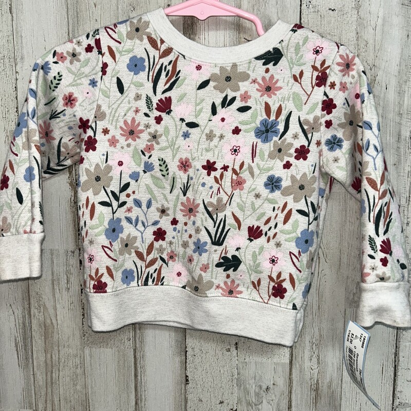 12M Grey Floral Sweatshir, Grey, Size: Girl 6-12m