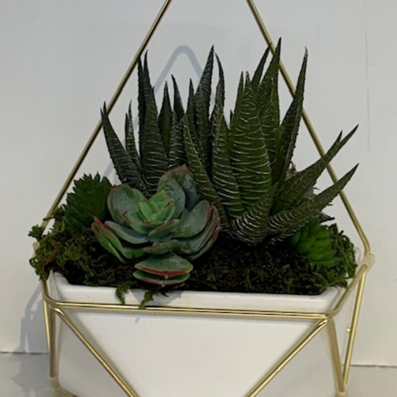 Succulents In Geometric Pot
White, Gold, Green
Size: 7x10H