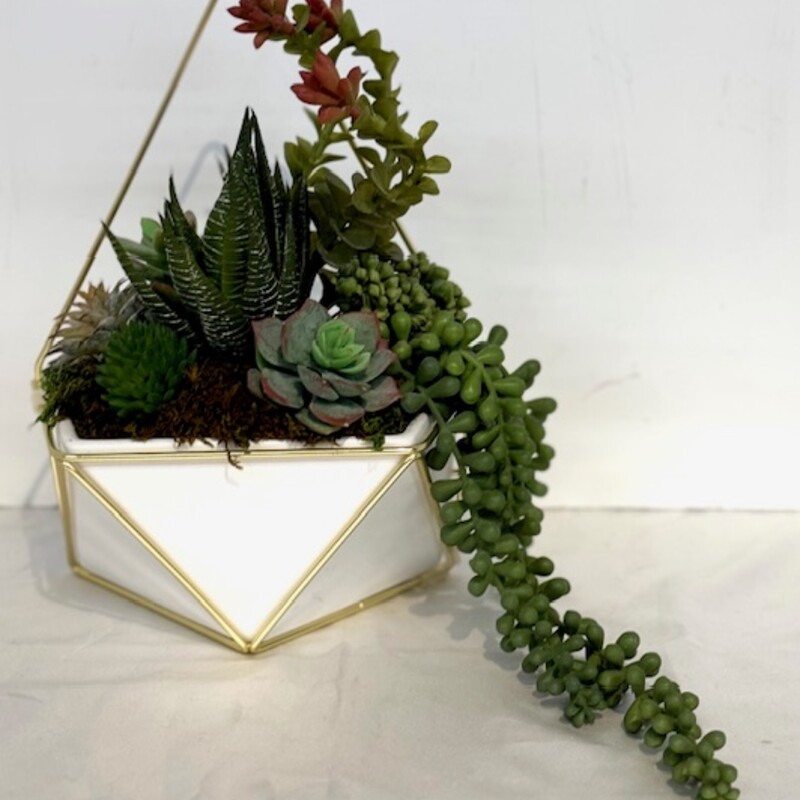 Succulents In Geometric Pot
White, Gold, Green
Size: 7x10H