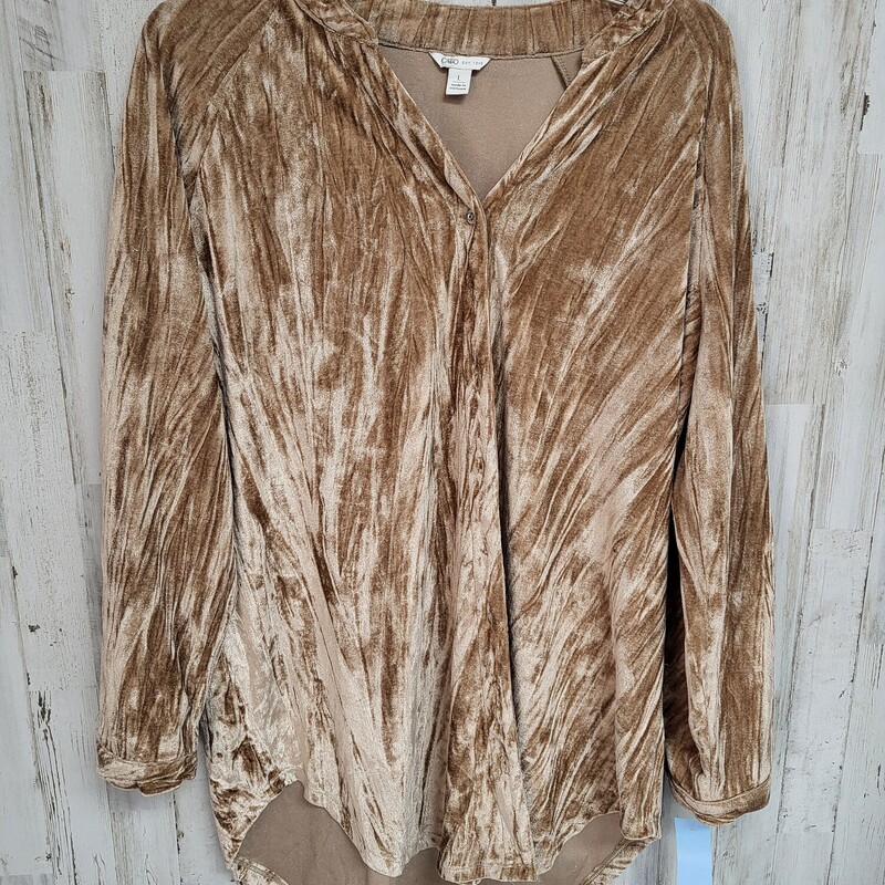 L Tan Velvet Button Up, Tan, Size: Ladies L