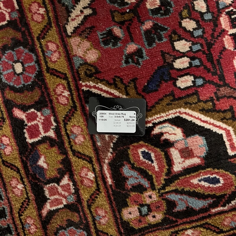 Wool Area Rug
Size: 3'6x4'9